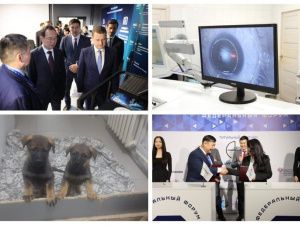 Что произошло в Якутии 24 ноября: обзор событий за день
