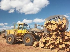 Фонду развития промышленности Якутии выделят 273 млн рублей на поддержку местных производителей