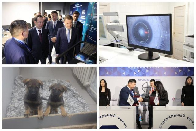 Что произошло в Якутии 24 ноября: обзор событий за день