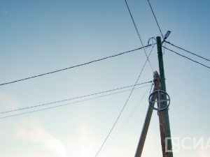 В Якутске оголенный провод убил бездомную собаку