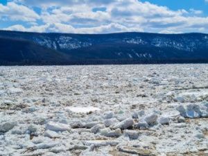 У города Ленск начался ледоход