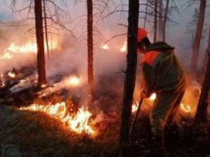 В Якутии за сутки ликвидировано 13 пожаров