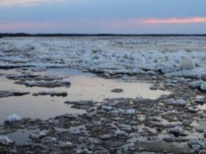 Ледоход на реке Лене проходит по территории Булунского района