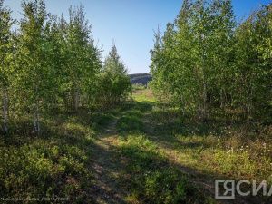 В Якутии спустя четыре дня нашлись пропавшие ягодники