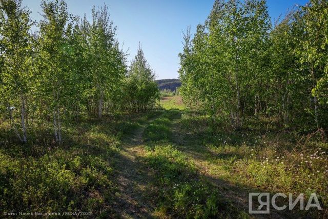 В Якутии спустя четыре дня нашлись пропавшие ягодники