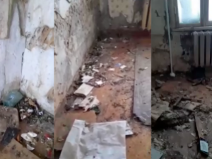 Что стало с квартирой в Якутске, где обитало более 50 кошек