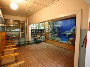 Глава Якутии поручил начать подготовку строительства Эльгяйского музейно-экологического центра