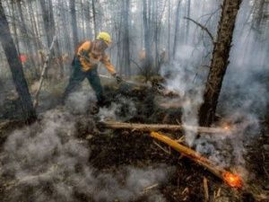 На территории Якутии действует 101 лесной пожар
