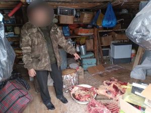 В Якутии трое местных жителей украли и забили на мясо чужого бычка
