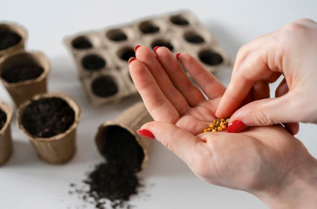 В Якутии Россельхознадзор выявил нелегальные семена в 15 из 23 проверенных магазинов