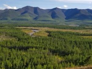 В арктических районах Якутии землю предоставляют в рамках «Дальневосточного гектара»