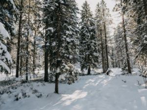 Нашли тело пропавшего в Верхневилюйском улусе охотника