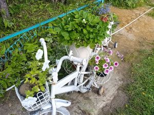 Награждение победителей конкурса "Зеленый кубок столицы 2025" прошло в Парке Победы