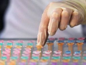 Якутские биологи разрабатывают проект искусственной печени для больных циррозом