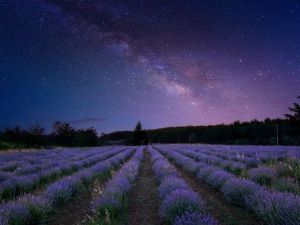 Гороскоп на 30 мая 2023 года для всех Знаков Зодиака