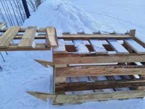 Ловушки для отлова безнадзорных собак установили в Оленьке