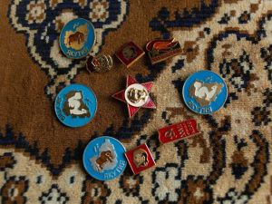 «Не политизирован»: Владимир Дормидонтов — об идее фильма «Народная комедия: кандидат»