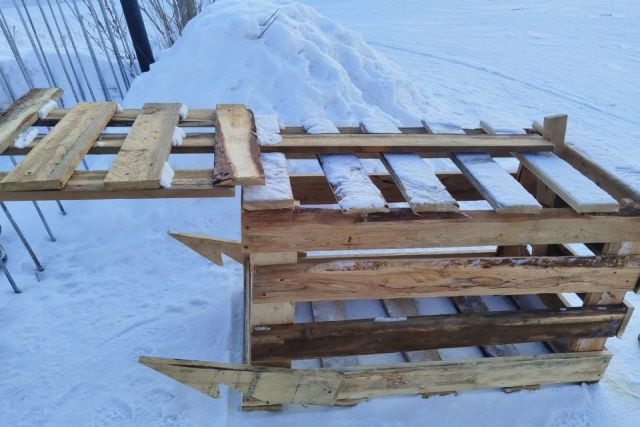 Ловушки для отлова безнадзорных собак установили в Оленьке