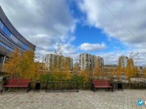 В понедельник в Якутске ожидается погода без осадков и до плюс восьми градусов