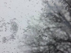 В семи районах Якутии ожидается сильный ветер