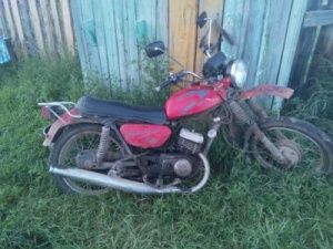 Отбиваясь от собаки, мотоциклист перевернулся