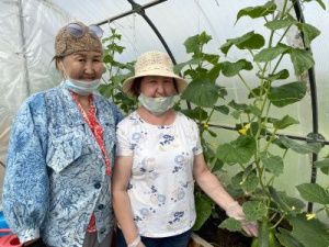 В Чурапчинском улусе решили вопрос с занятостью сельчан в период пандемии  