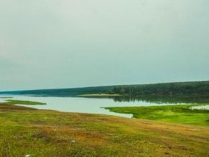 В селе в Якутии пропавшая трехлетняя девочка найдена мертвой