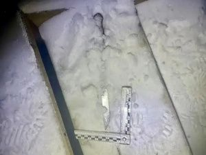 Жительница Якутии убила сожителя одним ударом ножа: Вынесен приговор