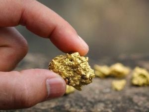 Фиаско года: Инспекторы ДПС "случайно" задержали нелегального золотодобытчика