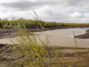 По факту загрязнения реки Ирелях возбуждено уголовное дело