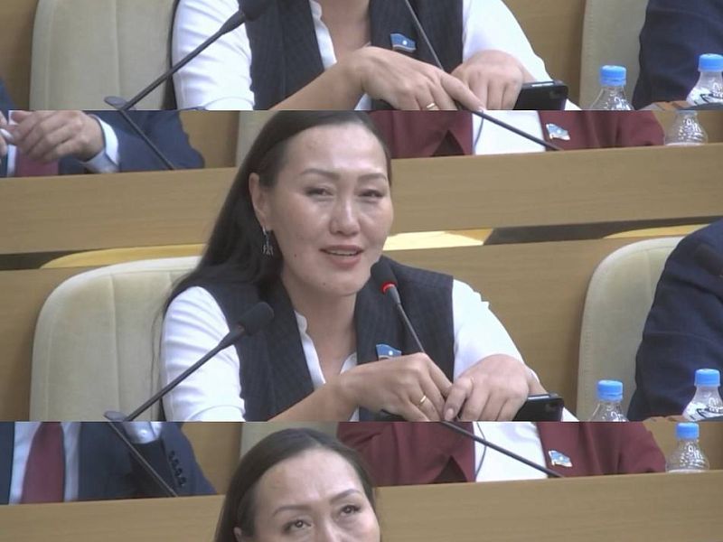 Ни вашим, ни нашим: «Новые люди» в Якутии превратились в партию страусов