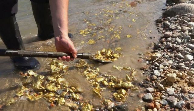 Подробности о краже более 1 центнера золота в «Урочище Сайлык»