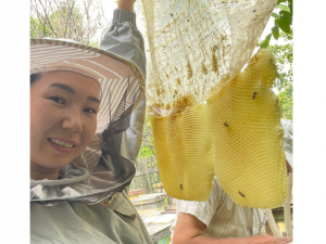 Победительница фестиваля «Муус Устар — 2023» Куннэй Тимофеева создала пасеку в Чурапчинском районе