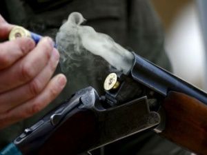 В Мирном мужчина выстрелил из ружья в подстанцию