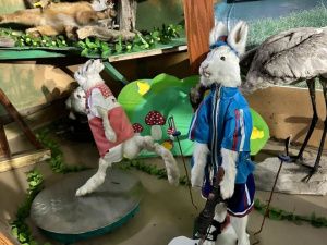 Зайцы-спортсмены и ондатра-супермен: необычные чучела животных делает таксидермист из Якутии