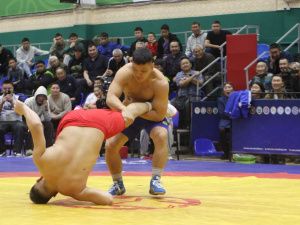 Борцы Тимур Николаев и Никита Софронов завоевали титулы абсолютных чемпионов турнира Ноговицыных