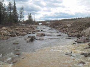 Золотодобытчики загрязняют реку Ыллымах в Алданском районе