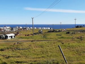 Более 137 тонн металлолома и мусора собрали в Тикси в рамках проекта «Чистая Арктика»