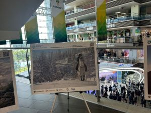 ВЭФ-2024: Работы якутского путешественники Дугуйдана Винокурова представлены во Владивостоке