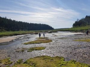 Глобальное потепление: нетающий ледник Булуус растаял