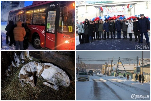 Что произошло в Якутии 1 февраля: обзор событий за день