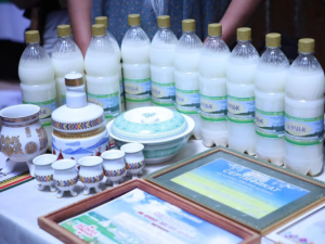 Ученые раскрыли полезные свойству кумыса