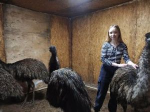 «Новинки» Всероссийской сельскохозяйственной  микропереписи 