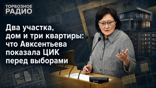 Два участка, дом и три квартиры: что Авксентьева показала ЦИК перед выборами
