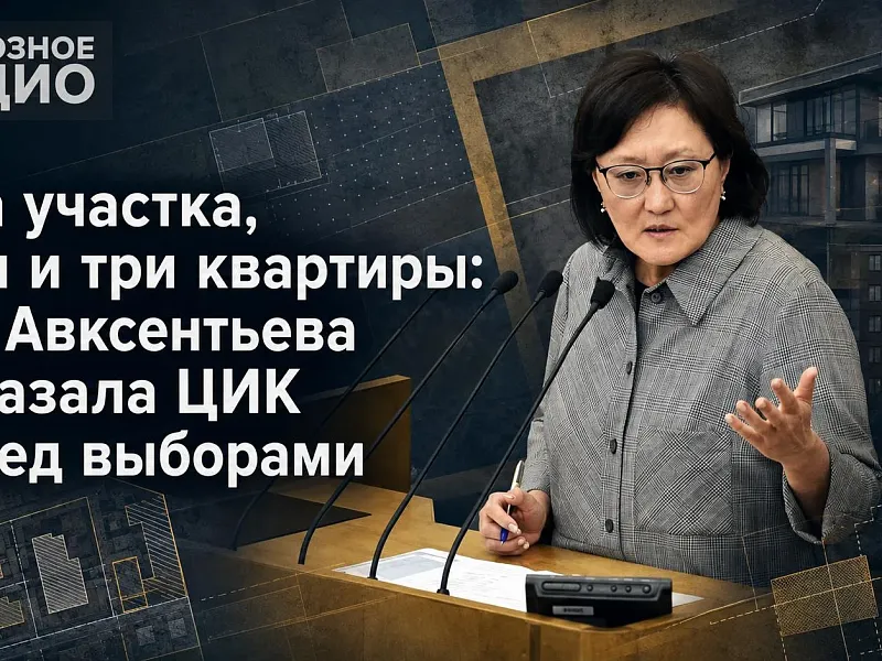 Два участка, дом и три квартиры: что Авксентьева показала ЦИК перед выборами