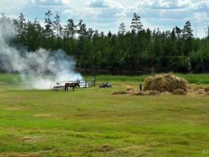 Дождевой паводок на Лене грозит затопить луга