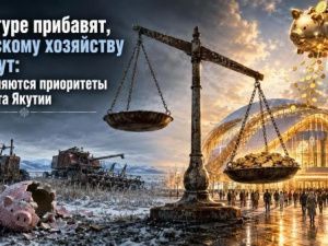 Культуре прибавят, сельскому хозяйству урежут: как меняются приоритеты бюджета Якутии