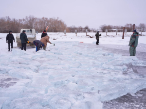 В Якутске прошел субботник по заготовке льда для семей участников СВО и пожилых