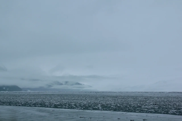 Бывший вице-губернатор Аляски объяснил выбор Трампом места встречи с Путиным