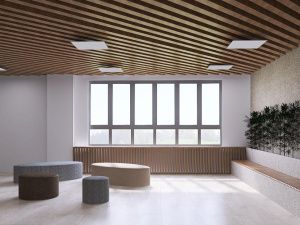 Коворкинг-зоны и цвета по временам года: какой будет вторая самая большая школа в Якутии